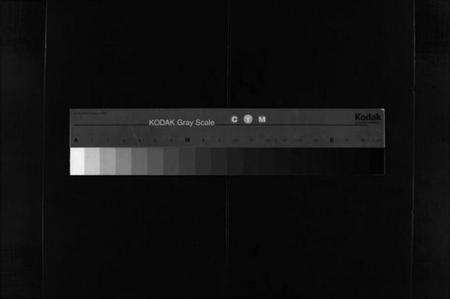 浙江朱氏族谱-瑶川朱氏宗谱 [1卷,艺文外编8卷,艺文内编9卷].pdf电子版缩略图