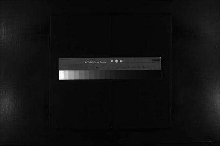 浙江朱氏族谱-瑶川朱氏宗谱 [1卷].pdf电子版缩略图