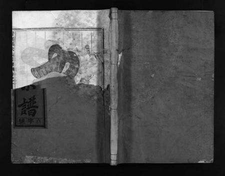 浙江徐氏族谱-甘溪区徐氏宗谱 [4卷].pdf电子版预览图1