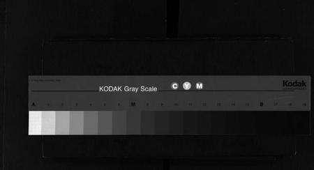 浙江田氏族谱-田氏宗谱 [2册].pdf电子版缩略图