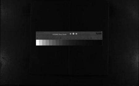 浙江梁氏族谱-白岩梁氏宗谱 [不分卷].pdf电子版缩略图