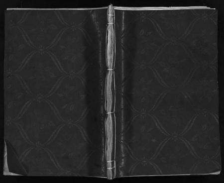 浙江梁氏族谱-白岩梁氏宗谱 [不分卷].pdf电子版预览图1