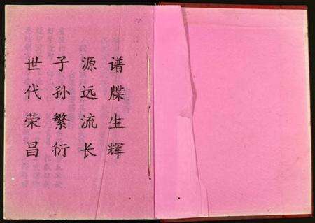 湖南彭氏族谱-彭氏族谱.pdf电子版预览图1