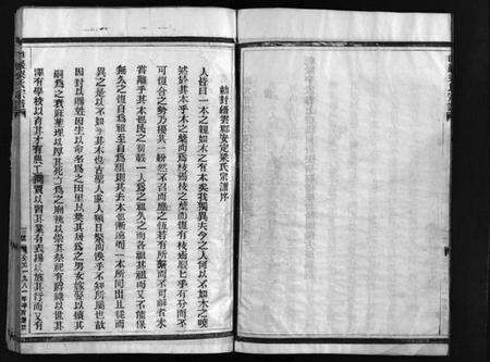 浙江梁氏族谱-白岩梁氏宗谱 [不分卷].pdf电子版预览图4