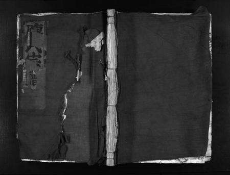 浙江陈氏族谱-白沙颖川陈氏宗谱 [8卷].pdf电子版预览图1