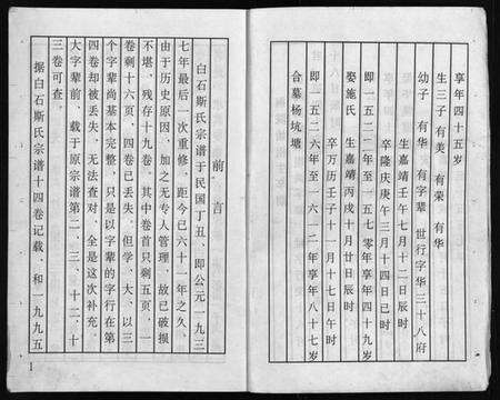 浙江斯氏族谱-白石桐院斯氏宗谱 [不分卷].pdf电子版预览图4