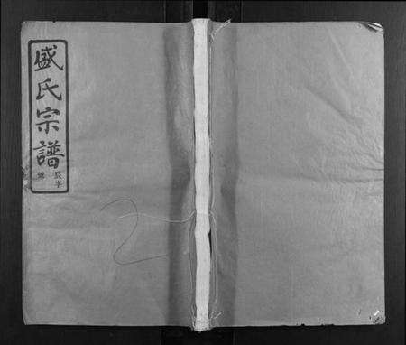 浙江盛氏族谱-盛氏宗谱.pdf电子版缩略图