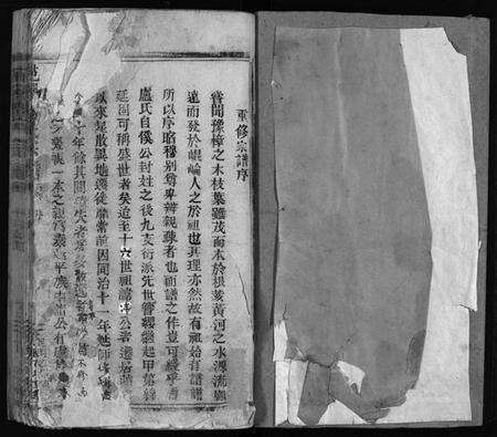 浙江卢氏族谱-卢氏宗谱.pdf电子版预览图2