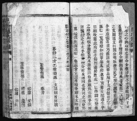 浙江卢氏族谱-卢氏宗谱.pdf电子版预览图3