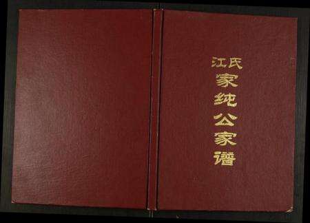 江西江氏族谱-江氏家纯公家谱.pdf电子版缩略图