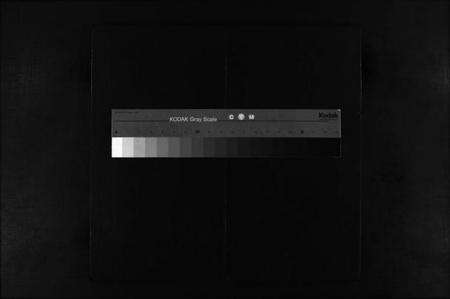 浙江卢氏族谱-卢氏宗谱 [不分卷].pdf电子版缩略图