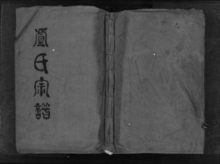 浙江卢氏族谱-卢氏宗谱[1册].pdf电子版预览图1