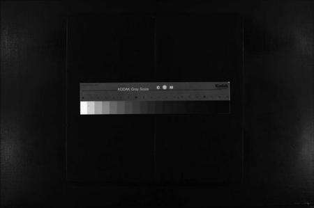 浙江赵氏族谱-瞿川埭头赵氏宗谱 [不分卷].pdf电子版缩略图