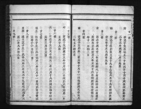 浙江盛氏族谱-石塘盛氏宗谱 [卷数不详].pdf电子版预览图5