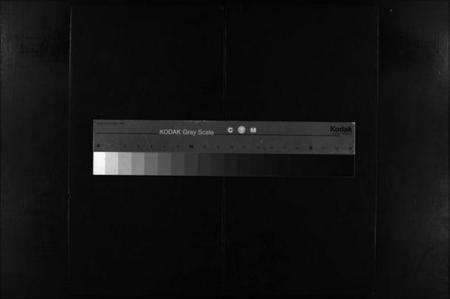 浙江石氏族谱-石氏宗谱 [3卷].pdf电子版缩略图