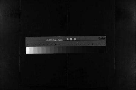 浙江石氏族谱-石氏宗谱 [不分卷].pdf电子版缩略图