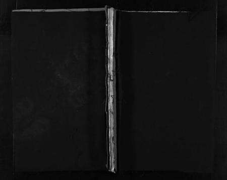 浙江石氏族谱-石氏宗谱 [不分卷].pdf电子版预览图1