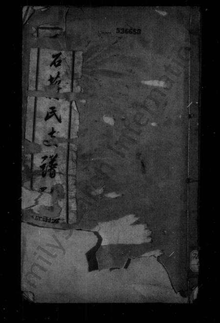 浙江蒋氏族谱-硖石蒋氏支谱.pdf电子版预览图1