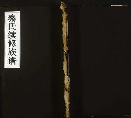 湖南秦氏族谱-秦氏续修族谱.pdf电子版缩略图