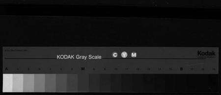 浙江程氏族谱-程氏宗谱 [卷数杂异].pdf电子版缩略图