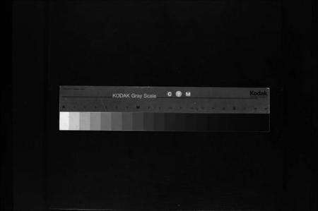 浙江陈氏族谱-颖川陈氏宗谱 [不分卷].pdf电子版缩略图