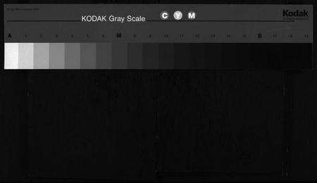 浙江章氏族谱-章氏家乘 [残卷].pdf电子版缩略图