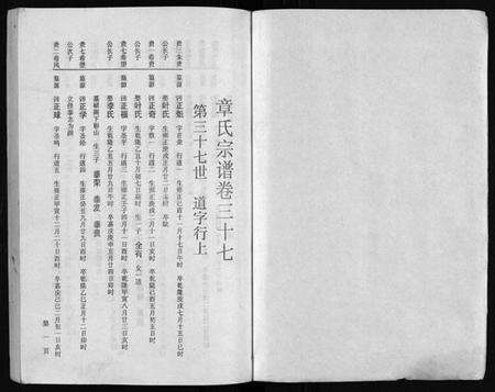 浙江章氏族谱-章氏家乘 [残卷].pdf电子版预览图2