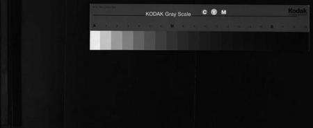 浙江卢氏族谱-竹川卢氏宗谱 [2卷].pdf电子版缩略图