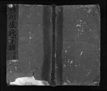 浙江卢氏族谱-竹川卢氏宗谱 [2卷].pdf电子版预览图1