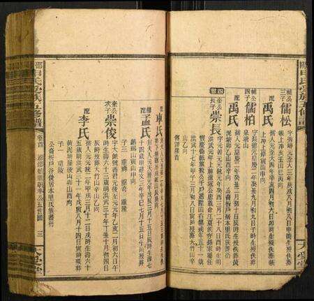 湖南申氏族谱-邵阳申氏五修谱.pdf电子版预览图3