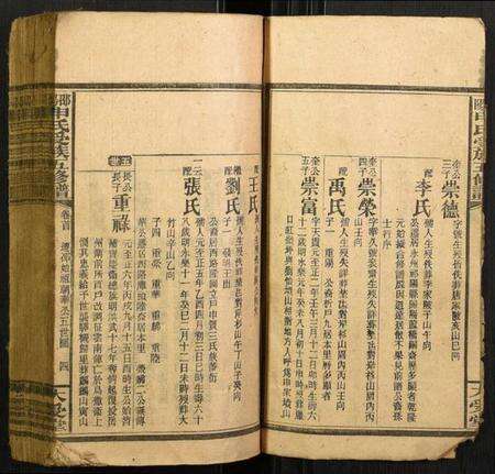 湖南申氏族谱-邵阳申氏五修谱.pdf电子版预览图4