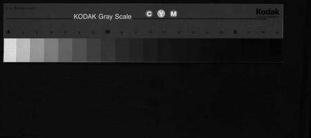 浙江朱氏族谱-紫阳朱氏宗谱 [残卷].pdf电子版缩略图