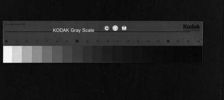 浙江金氏族谱-绍兴渔临金氏宗谱 [不分卷].pdf电子版缩略图