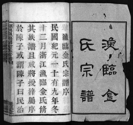 浙江金氏族谱-绍兴渔临金氏宗谱 [不分卷].pdf电子版预览图2