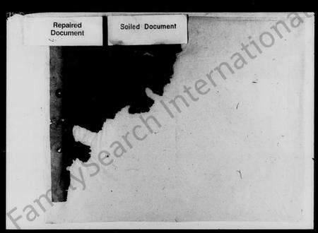湖南盛氏族谱-盛氏续修族谱 [6卷,首1卷].pdf电子版预览图1