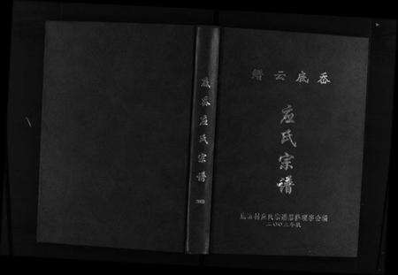 浙江应氏族谱-缙云底岙应氏宗谱 [不分卷].pdf电子版预览图1