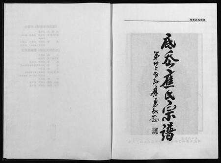 浙江应氏族谱-缙云底岙应氏宗谱 [不分卷].pdf电子版预览图3