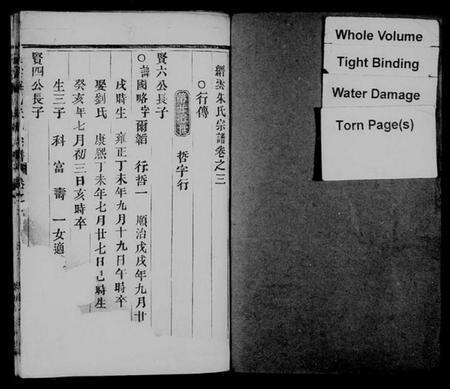 浙江朱氏族谱-缙云朱氏宗谱.pdf电子版预览图2