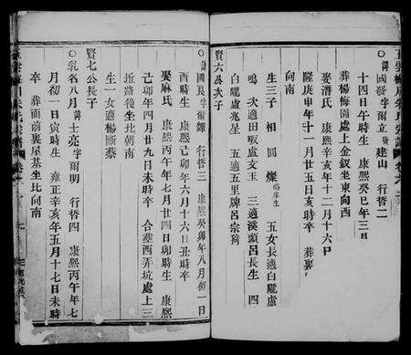 浙江朱氏族谱-缙云朱氏宗谱.pdf电子版预览图3