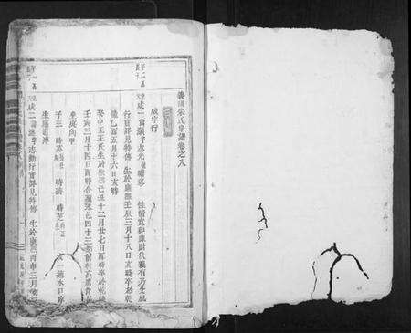 浙江朱氏族谱-义阳金竹塘朱氏宗谱.pdf电子版预览图1