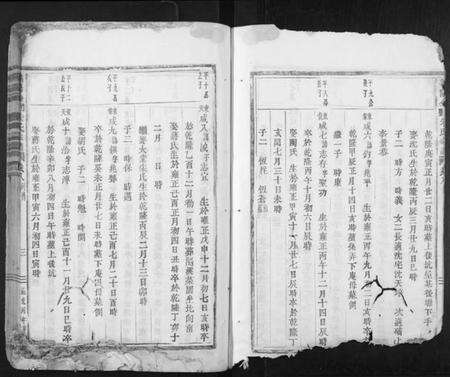 浙江朱氏族谱-义阳金竹塘朱氏宗谱.pdf电子版预览图3