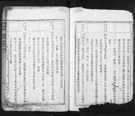 浙江朱氏族谱-义阳金竹塘朱氏宗谱.pdf电子版预览图5