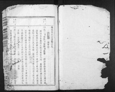 浙江朱氏族谱-义阳金竹塘朱氏宗谱.pdf电子版预览图1