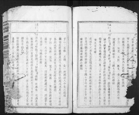 浙江朱氏族谱-义阳金竹塘朱氏宗谱.pdf电子版预览图2