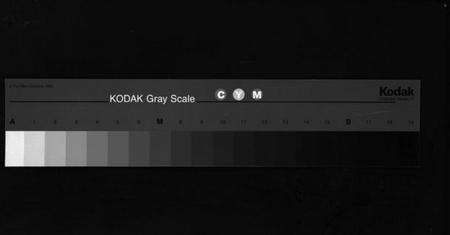 浙江翁氏族谱-翁氏宗谱 [15卷].pdf电子版缩略图