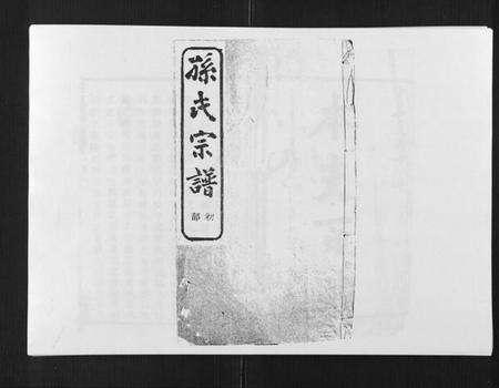 浙江孙氏族谱-翠峰孙氏宗谱.pdf电子版缩略图