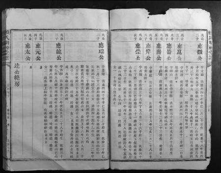 江西赖氏族谱-赖氏明礼堂谱.pdf电子版预览图5