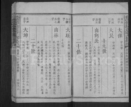 江西赖氏族谱-秋溪赖氏崇恩堂七修族谱 [残卷].pdf电子版预览图2