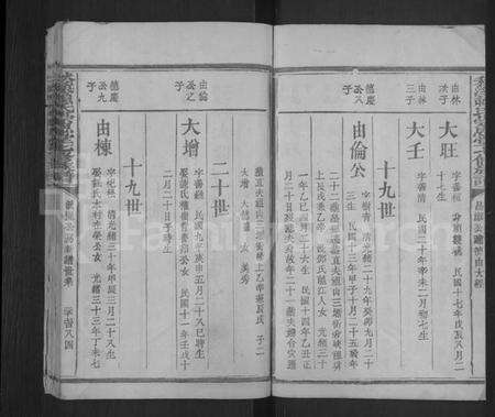 江西赖氏族谱-秋溪赖氏崇恩堂七修族谱 [残卷].pdf电子版预览图3