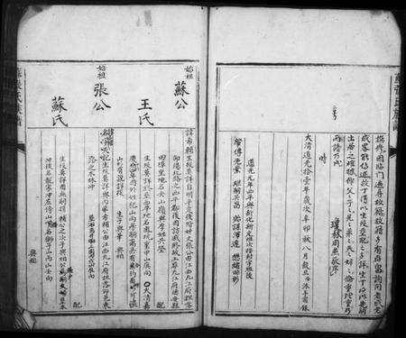 湖南苏氏族谱-苏张氏族谱.pdf电子版预览图5